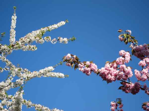 Berührung im Himmel