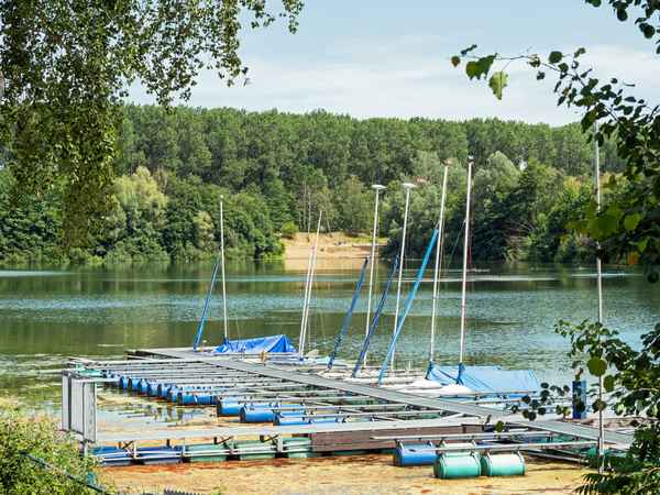 Ruhe am Waldsee