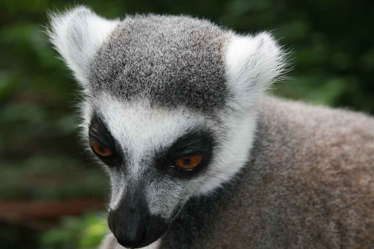 neulich im Zoo