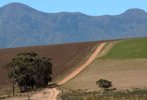 Südafrika - zwischen Knysna und Hermanus