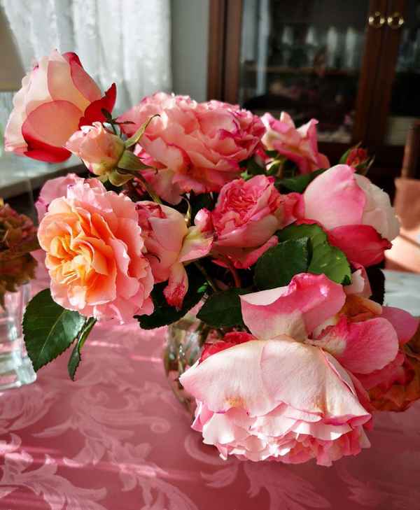 Üppiger Rosenstrauß