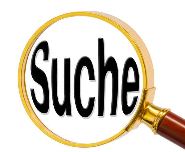 Suche