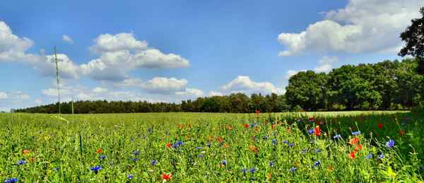 sommerlicher Ausblick