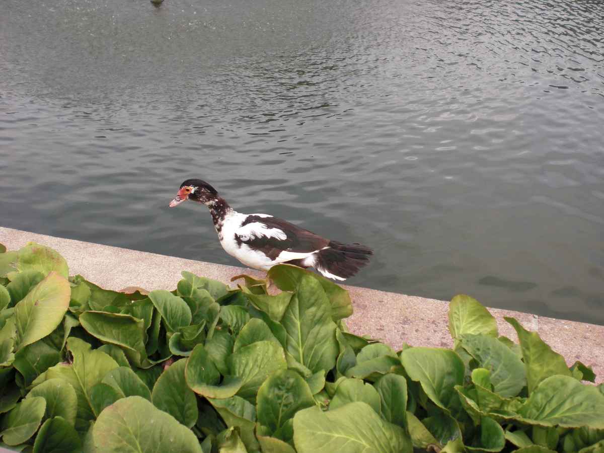 Zu kalt im Wasser?