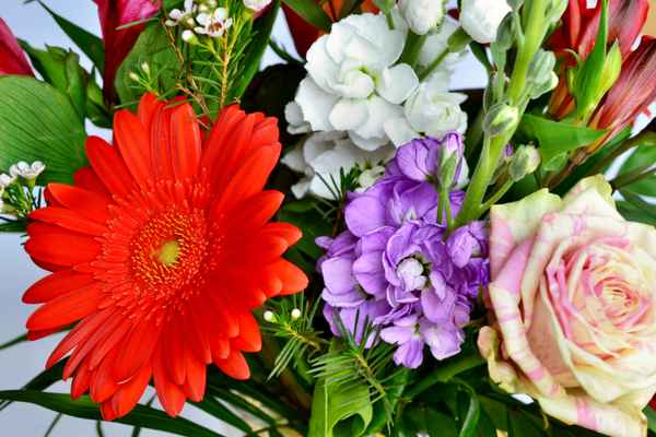 Blumenstrauß