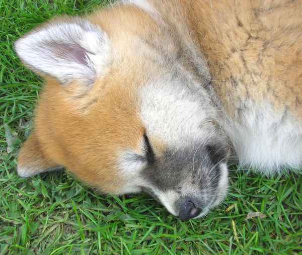 ICH KANN KEIN WÄSSERCHEN TRÜBEN :-)