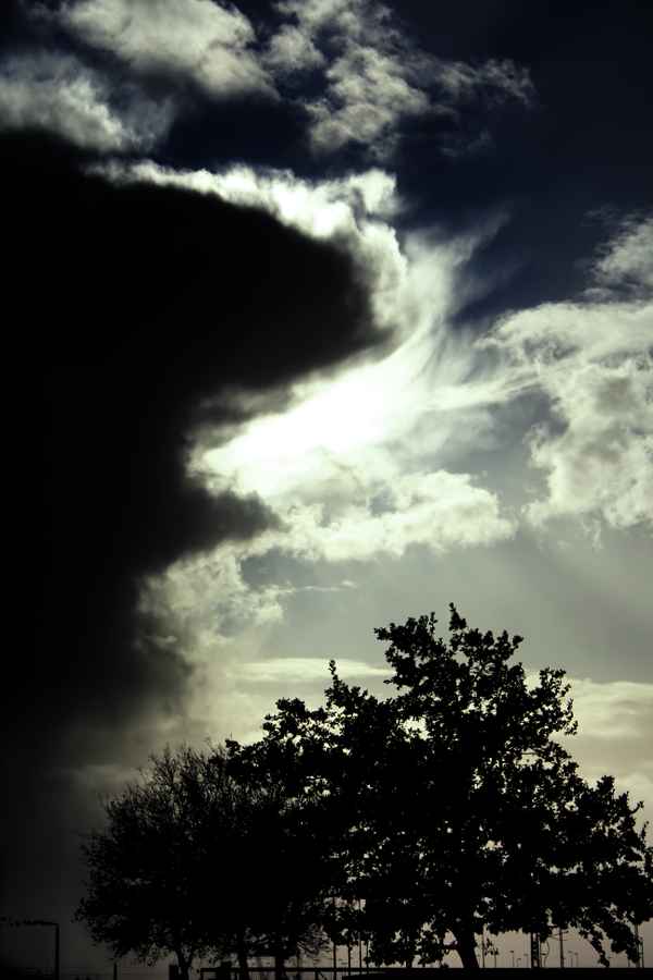 Outdoor XX