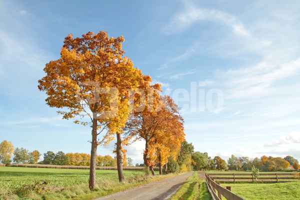 wandern durch den herbst