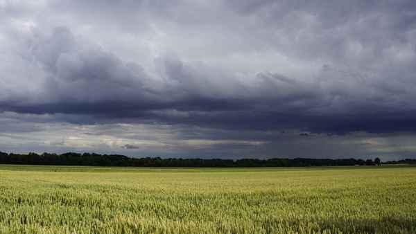 wetter