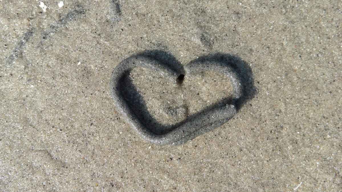 Ein Herz für Wattwürmer