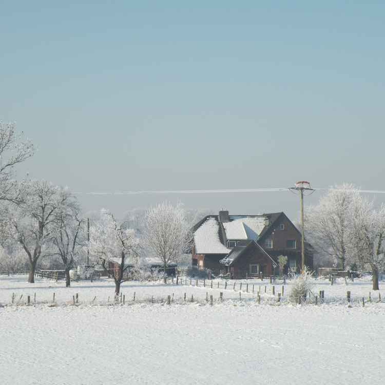 Winterimpressionen 15