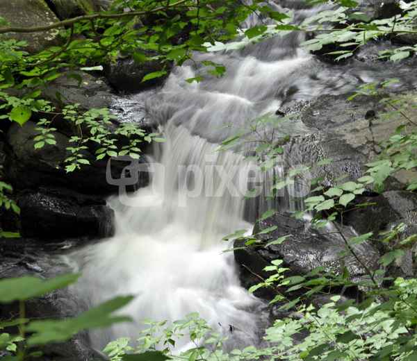 Wo der Wildbach rauscht..