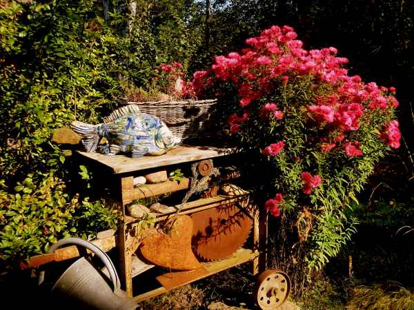 Bunter Herbst