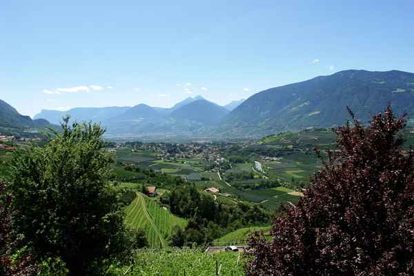 sonniger Blick ins Trentino