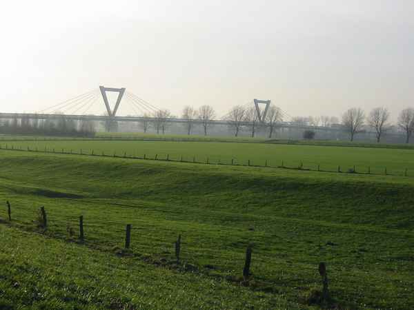 Rheinwiesen bei Düsseldorf