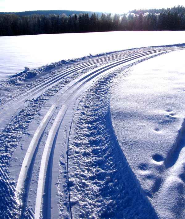 Schwungvoll in die neue Ski-Saison 2