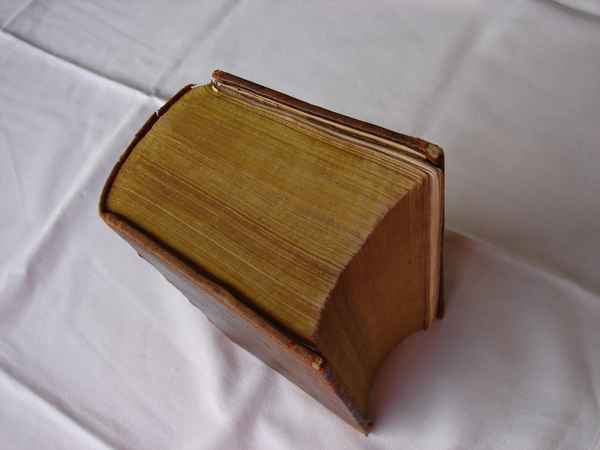 eine alte Bibel II