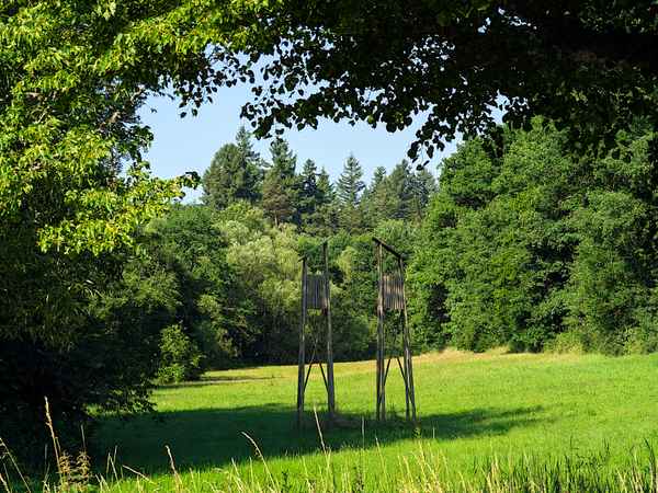 Jägerlatein von Hainer Hepp