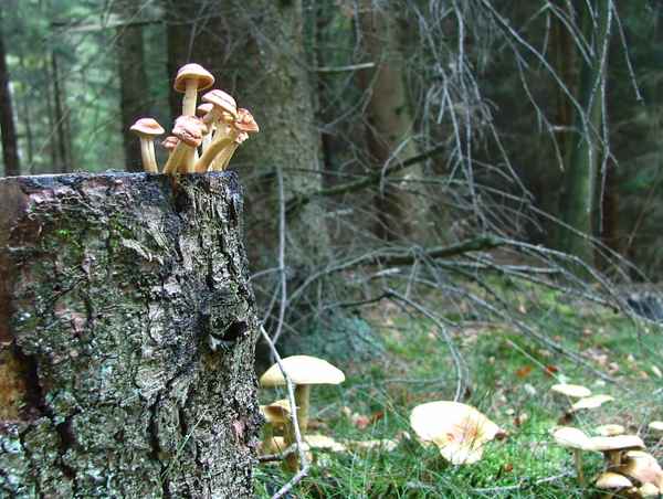 Springen wir ? 03