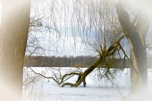 Winternachmittag am See