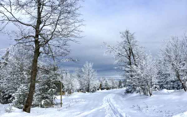 Schwarzwald-Winter mit Loipe