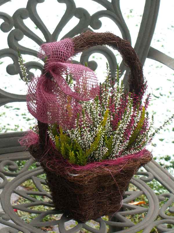 Winterblumen im Körbchen