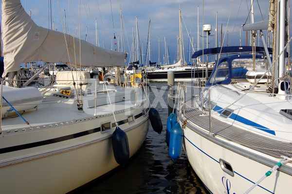 Yachthafen in Flevoland (Holland) #3