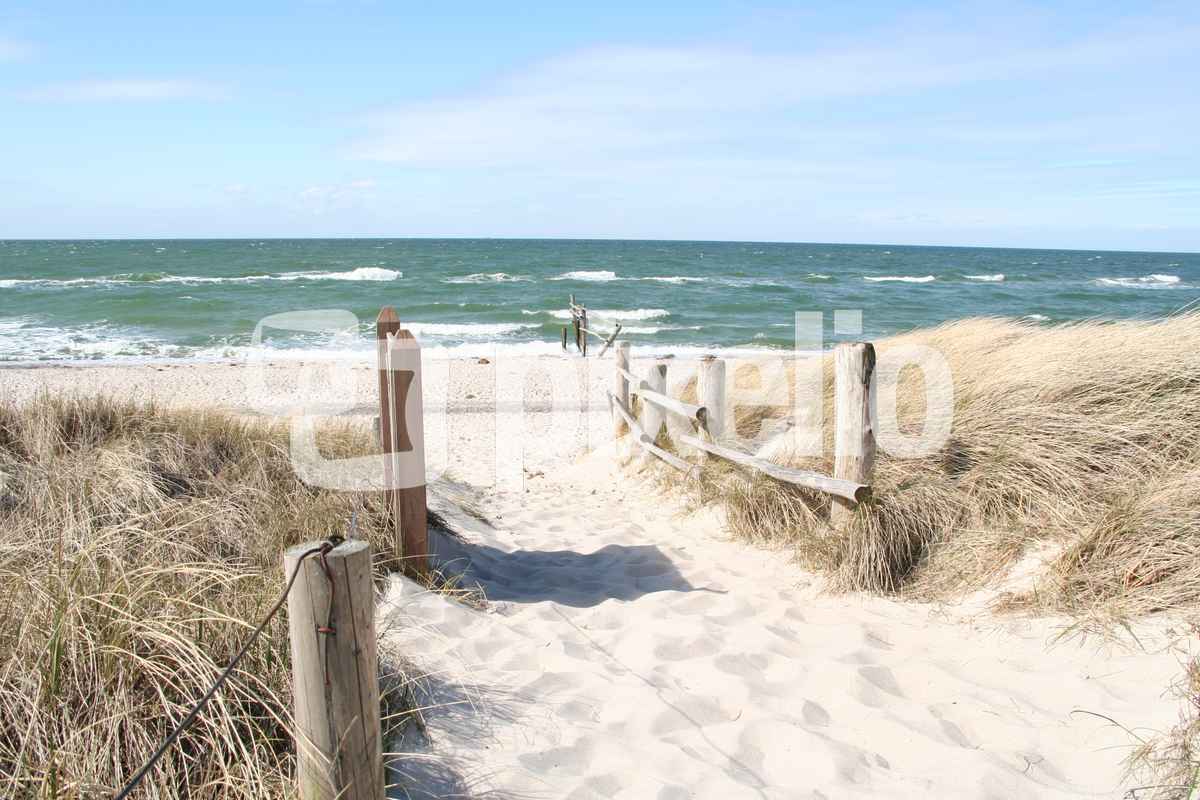 Herz was willst du Meer?
