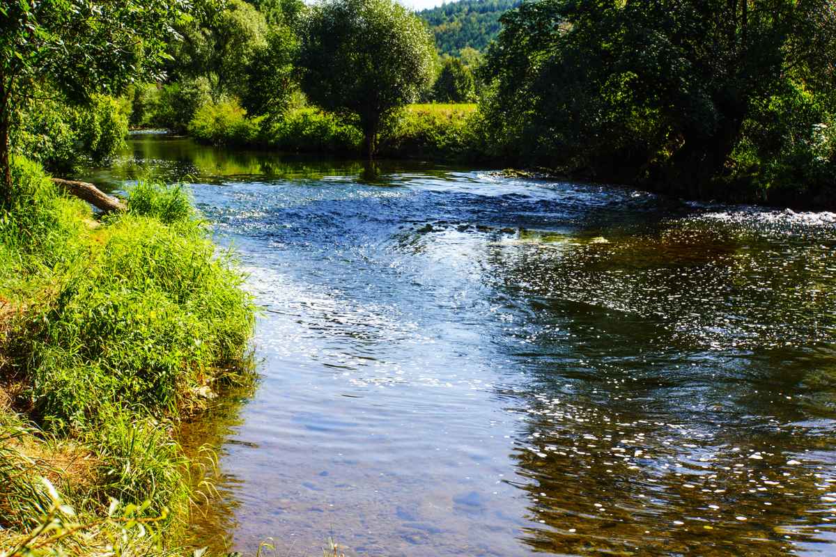 Natur pur am Neckar bei Horb