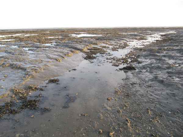 Wattboden in der Nordsee
