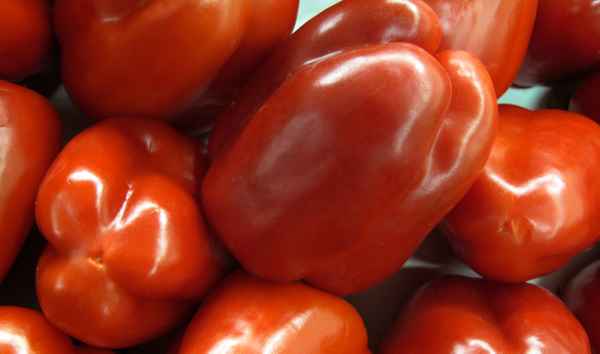 Peperoni rot