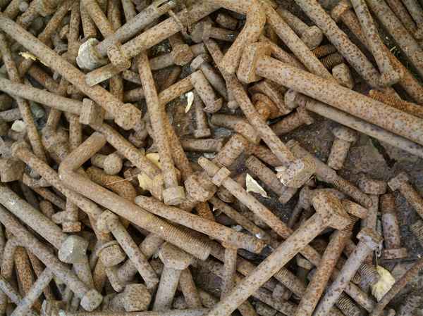 Naturpark Südgelände, Berlin