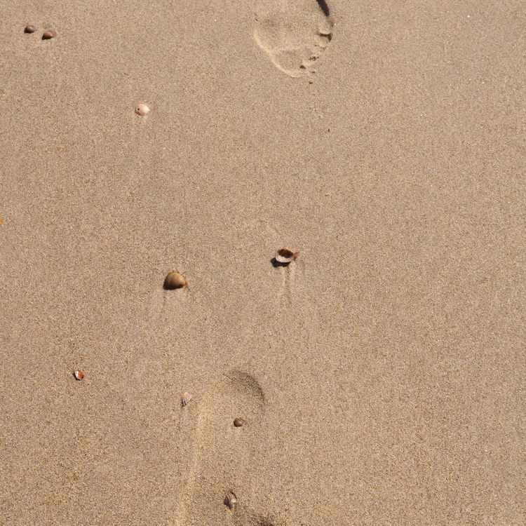 Deine Spuren im Sand 2