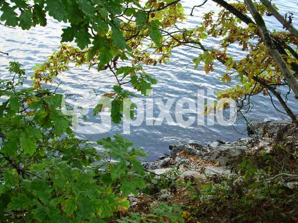 Bütgenbacher See am Nachmittag