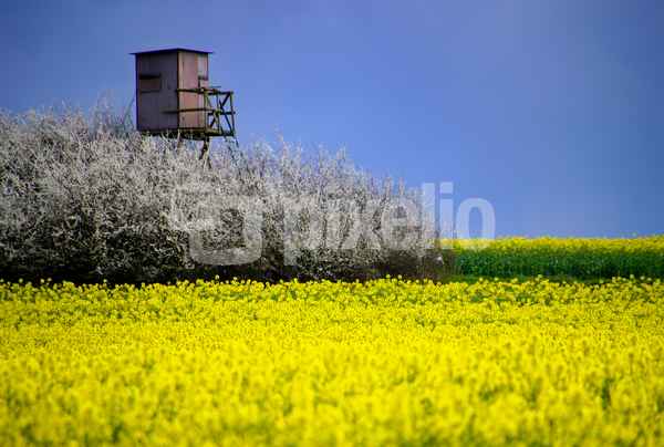 Bunter Frühling mit Aussicht