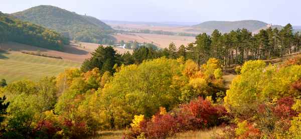 Thüringer Herbstlandschaft