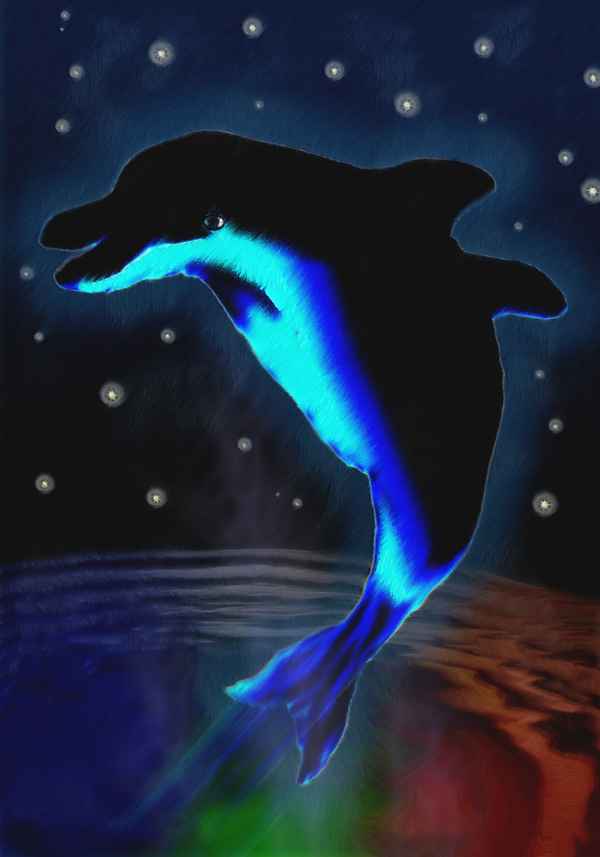Delphin (Delfin)