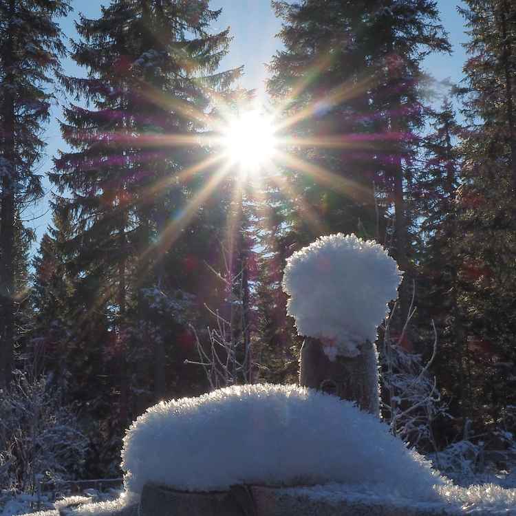 Winterwunderland
