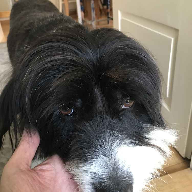 Ach, immer diese Hitze