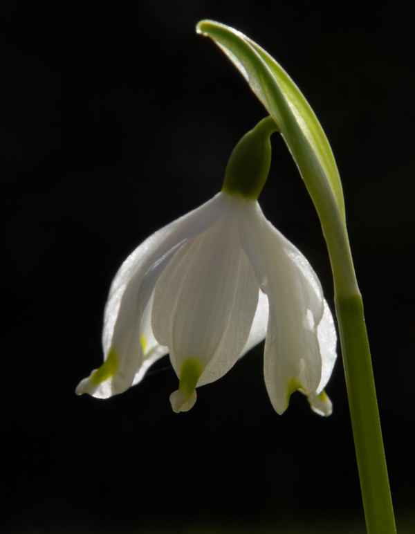 Im Zeichen des März