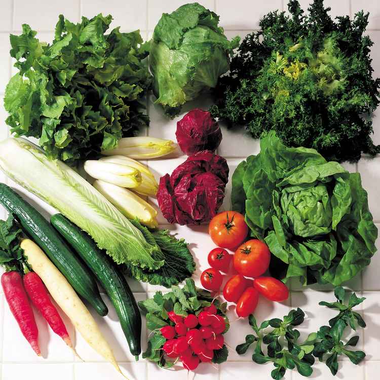Gemüse- und Salatsorten