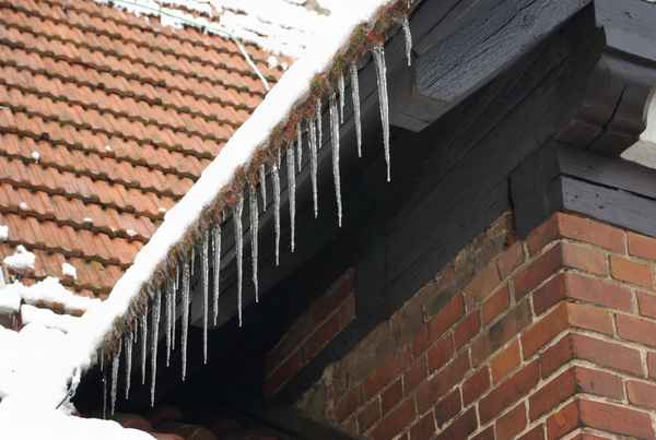 Winter 24
