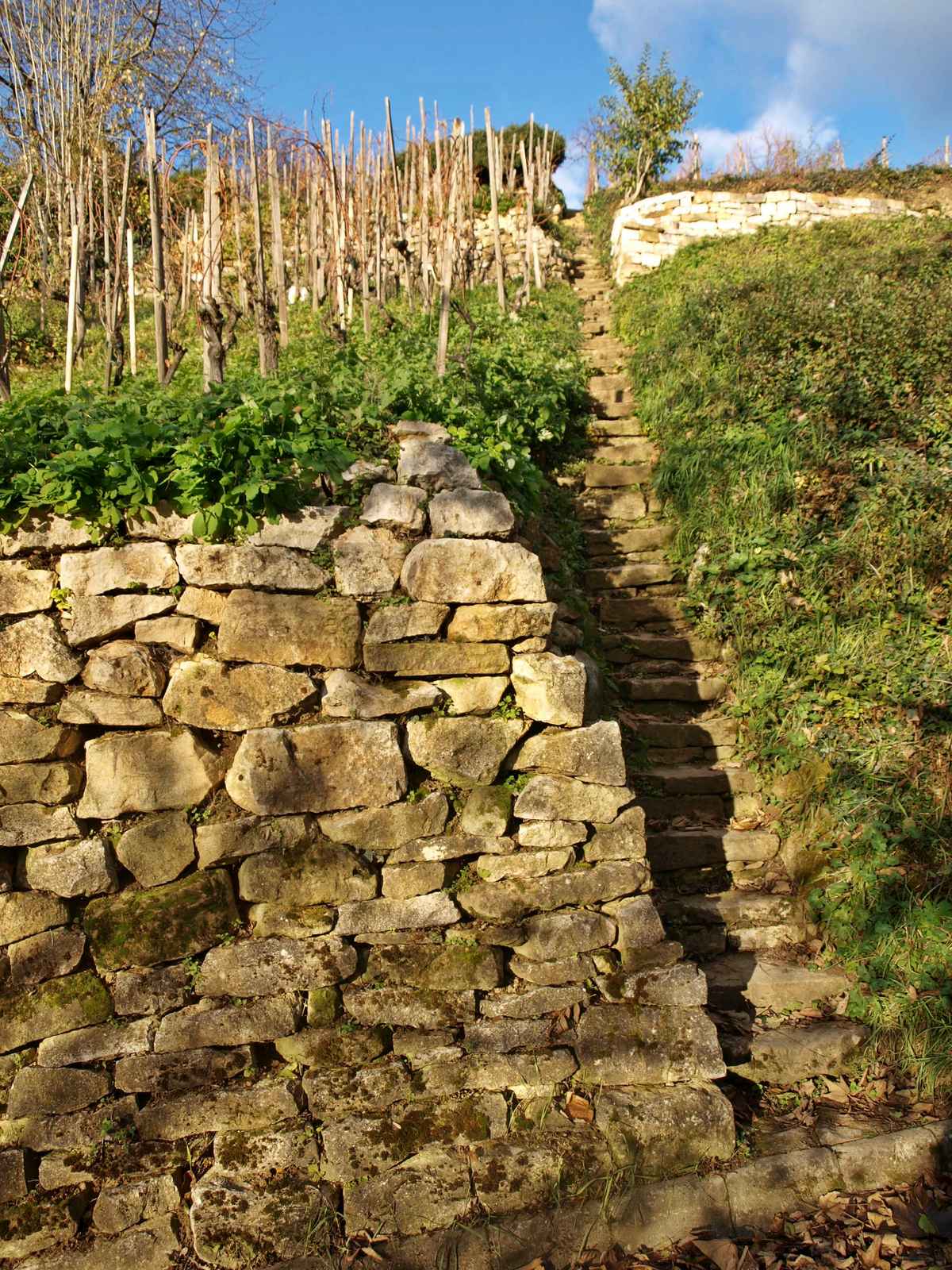Das Himmelsstäpfele