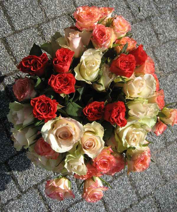 Rosenstrauß