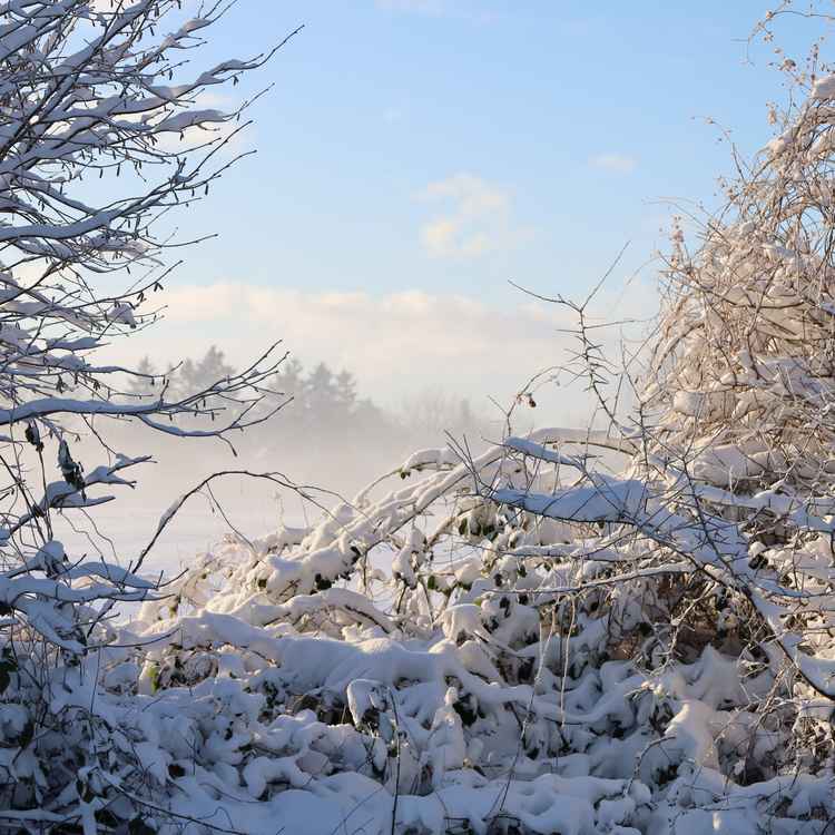 Winterlicher Knick