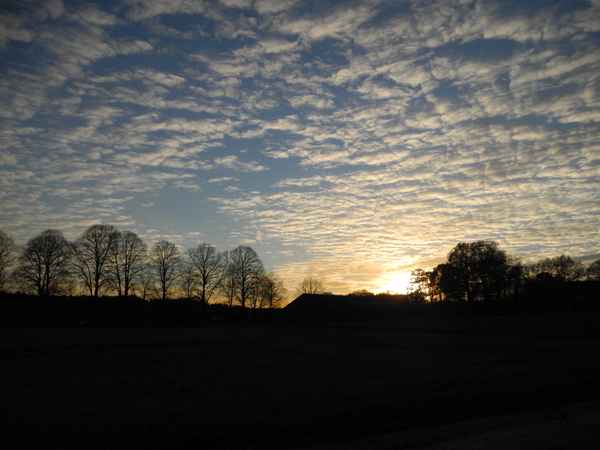 Abendsonne an einem Novembertag