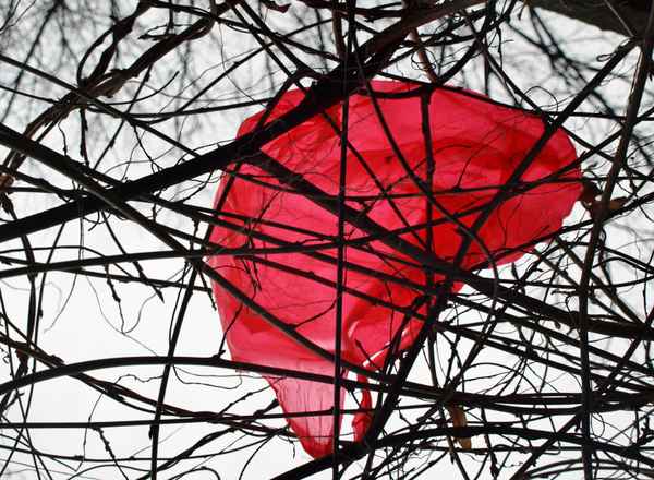 rotes Plastik trifft Natur