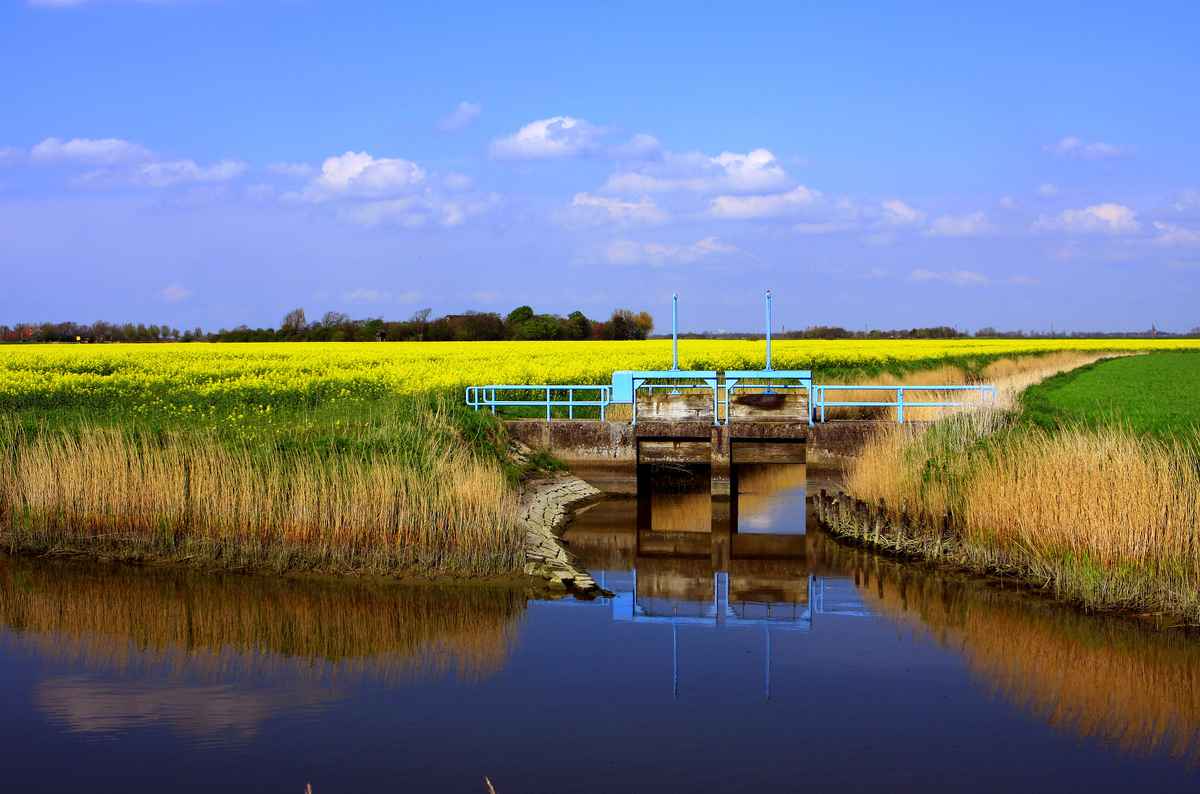 Marschlandschaft