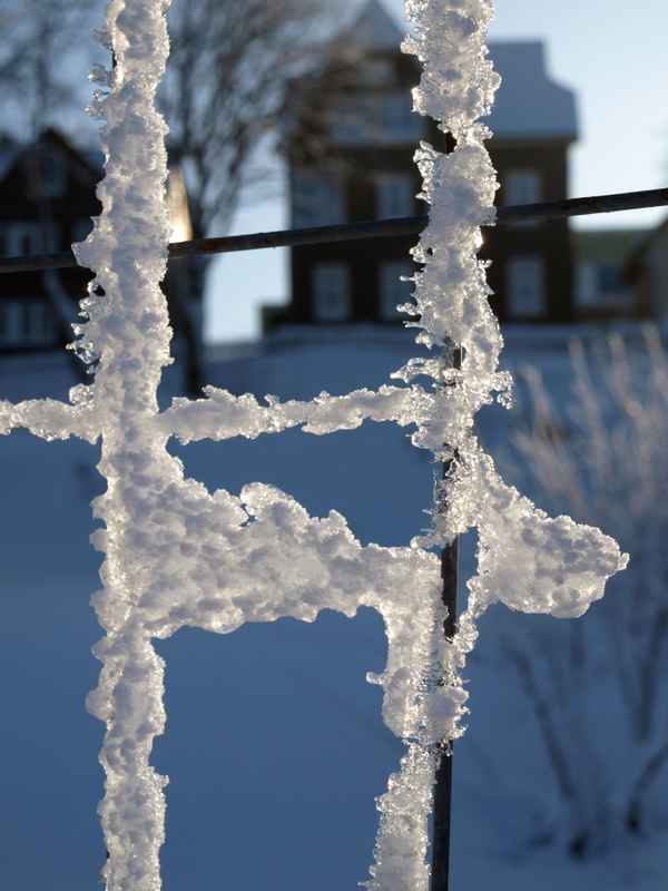 Schneekristalle am Zaun