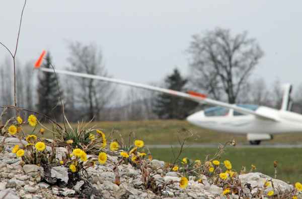 Flugplatz.Perspektive 02